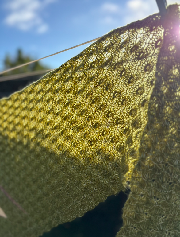 Kit <br>Månesky - Billede 7